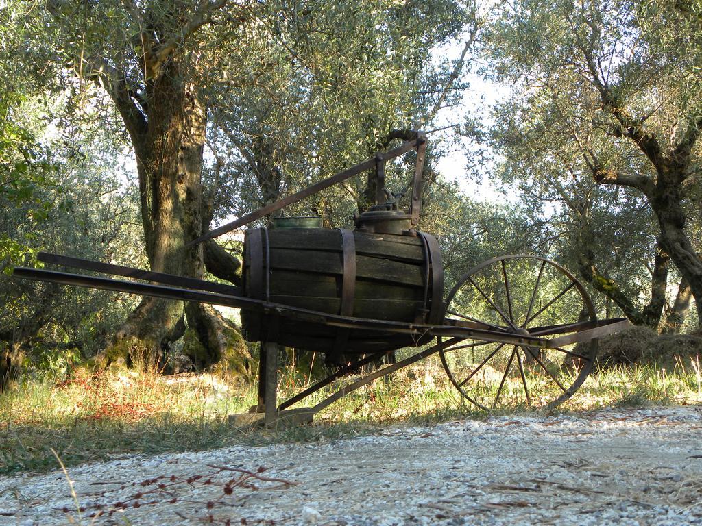Fattoria Di Camporomano Massarosa Εξωτερικό φωτογραφία