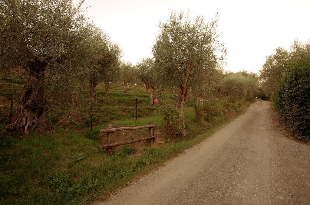 Fattoria Di Camporomano Massarosa Εξωτερικό φωτογραφία