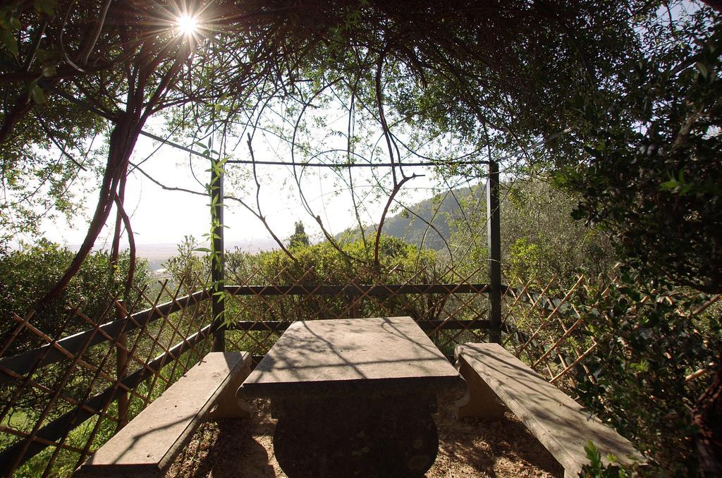 Fattoria Di Camporomano Massarosa Εξωτερικό φωτογραφία