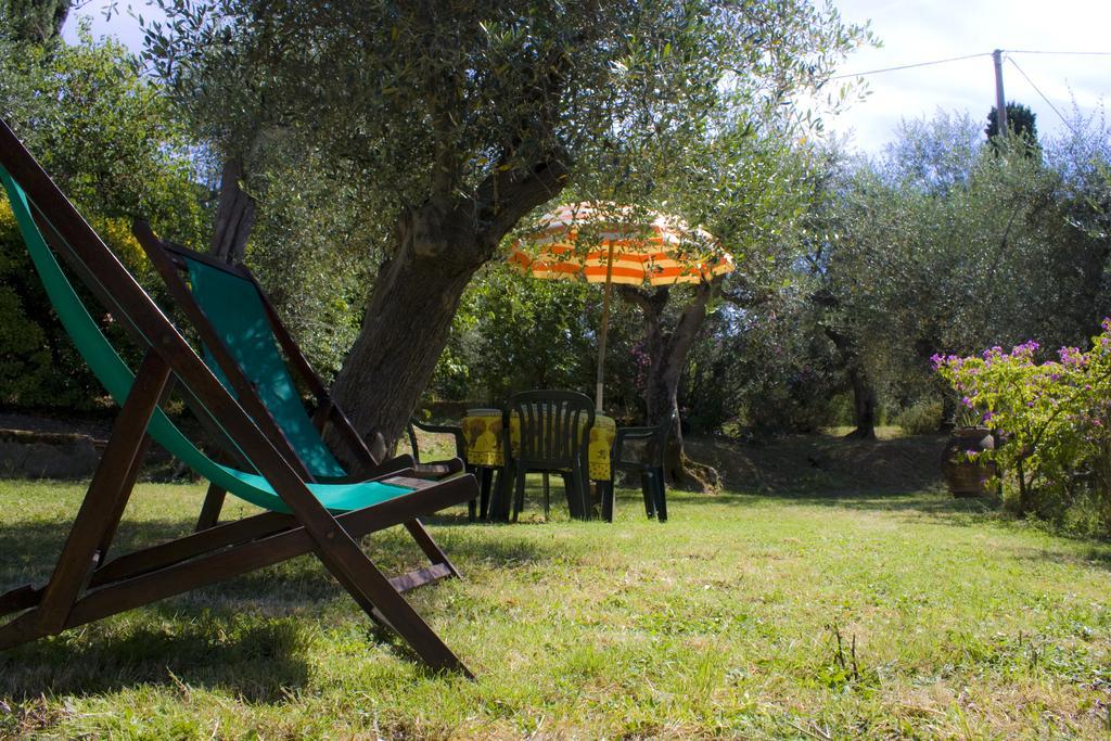 Fattoria Di Camporomano Massarosa Δωμάτιο φωτογραφία