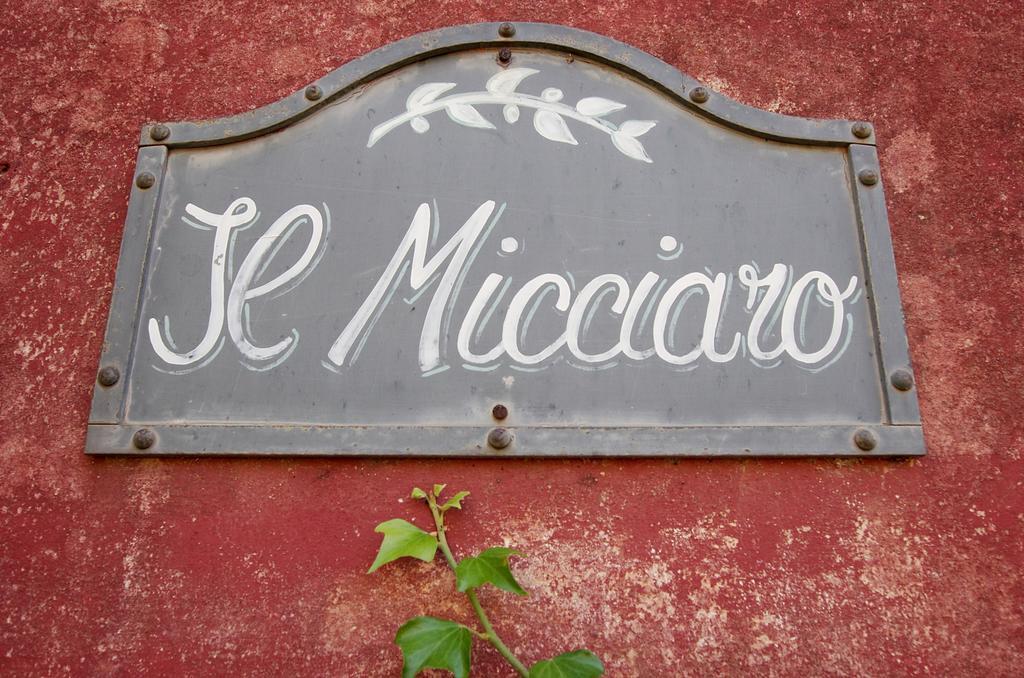 Fattoria Di Camporomano Massarosa Δωμάτιο φωτογραφία
