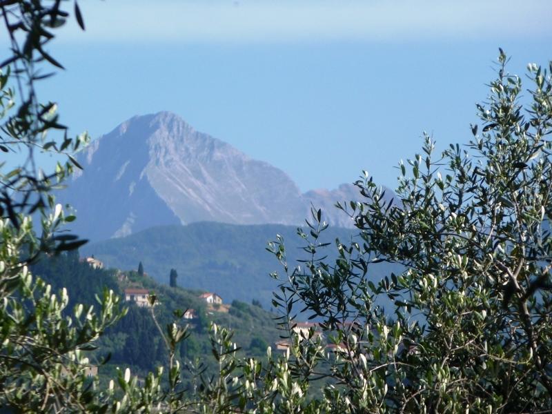 Fattoria Di Camporomano Massarosa Εξωτερικό φωτογραφία
