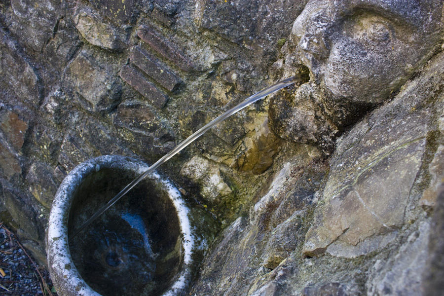 Fattoria Di Camporomano Massarosa Εξωτερικό φωτογραφία